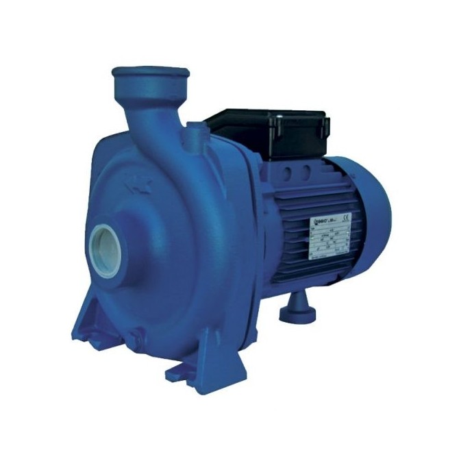 Bomba Centrífuga Reggio SM1 300 T