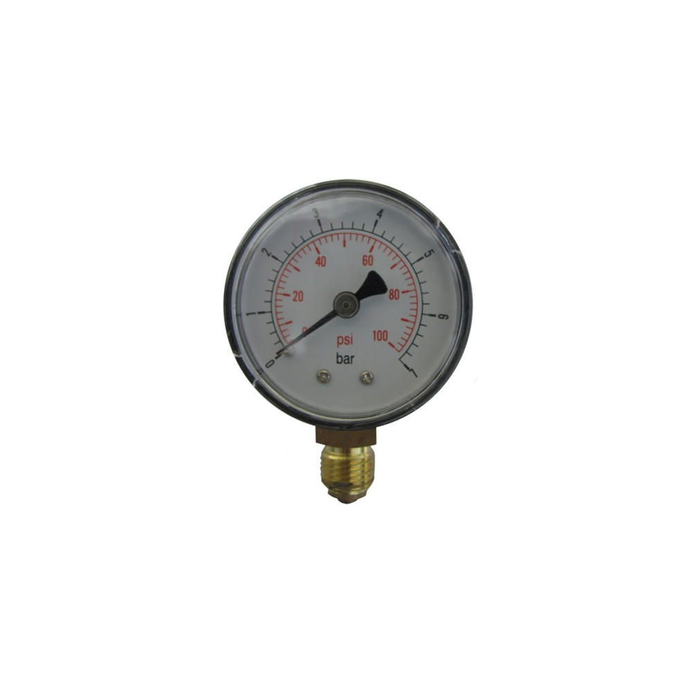 Manómetro 0 - 7 bar (100 psi) carcasa plástica
