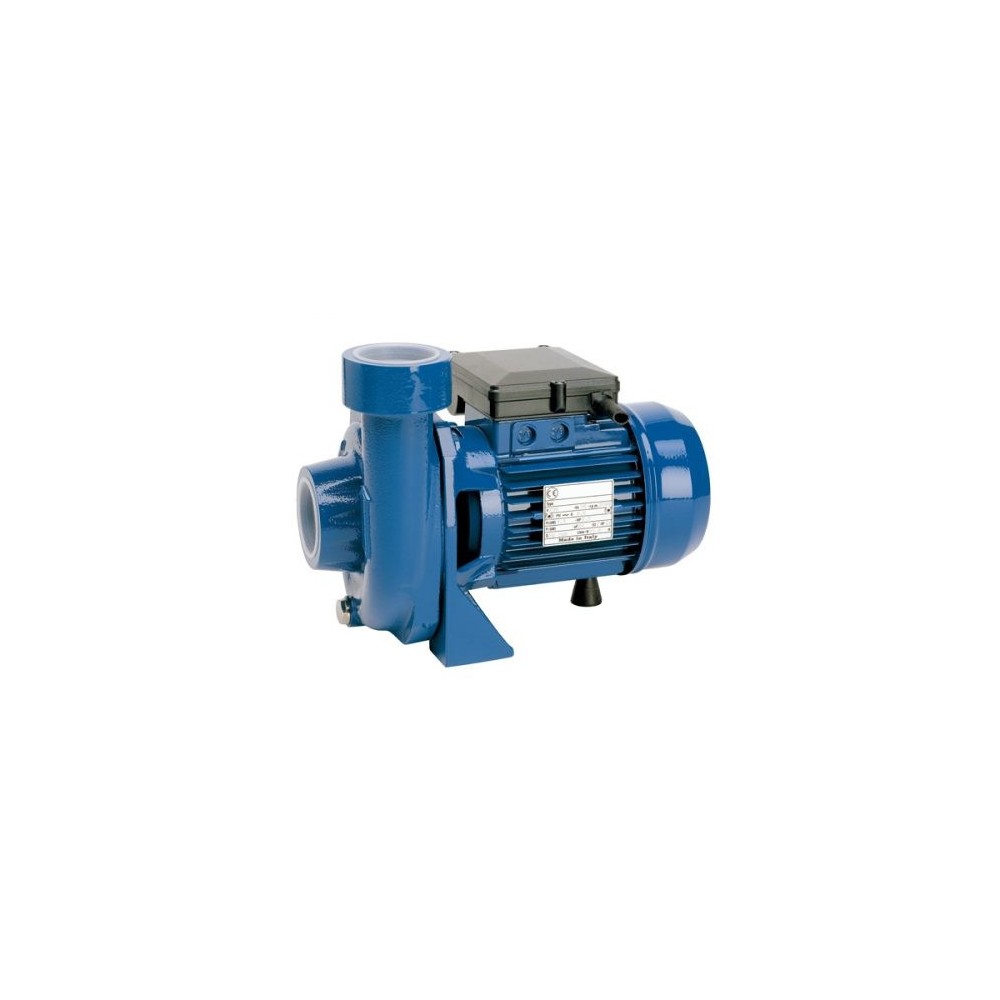 Bomba Centrífuga Reggio SCF1 100 T